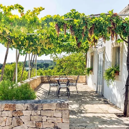 Trullo Fragno - Apuliaria 别墅 马丁纳弗兰卡